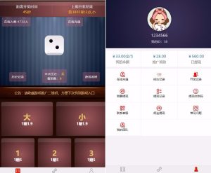 [源代码共享网]微信H5猜骰子游戏二次开发版源码