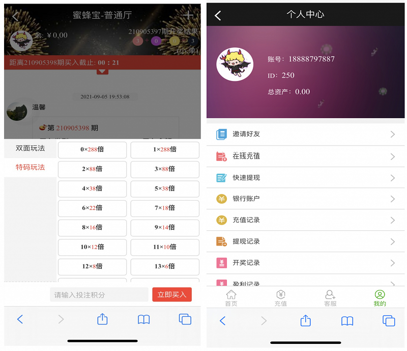 图片[3]-[源代码共享网]全新修复版蜜蜂宝理财源码,幸运28理财