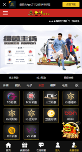 [源代码共享网]大气传统综合盘风格系统模板,TG游戏API接口厂商