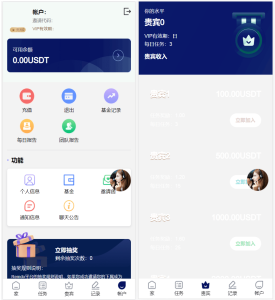[源代码共享网]海外YouTube视频点赞刷单悬赏任务投资理财源码/tiktok国际版刷单理财资金盘